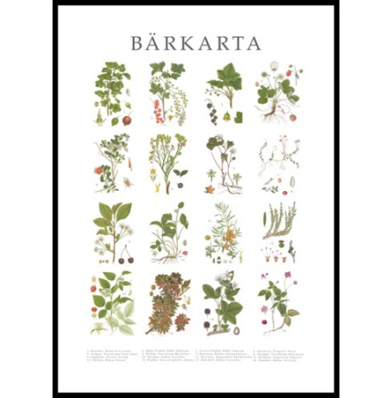 Poster - Brkarta