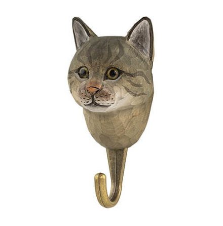 Krok - katt