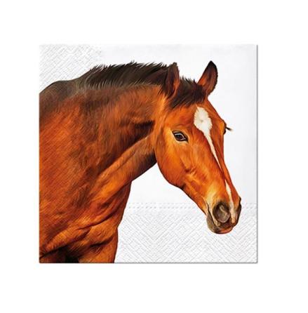Servett - häst