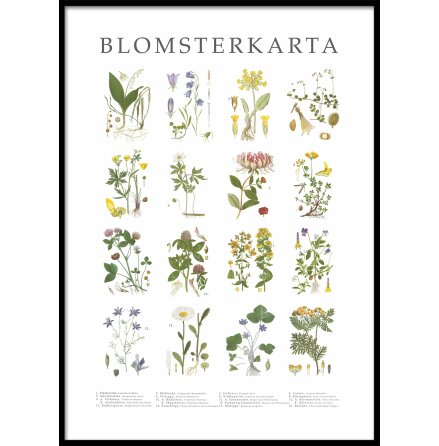 Poster - Blomsterkarta