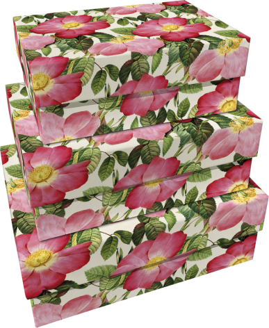 Pappersbox - rosor