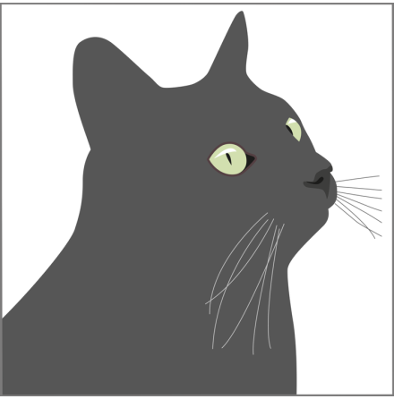 Kort - Svarta Katten