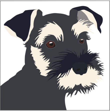Kort - Dvrgschnauzer