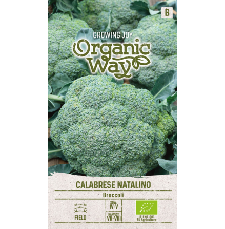 Fr - Broccoli Calabrese Natalino