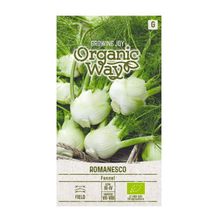 Fr - Fnkl Romanesco