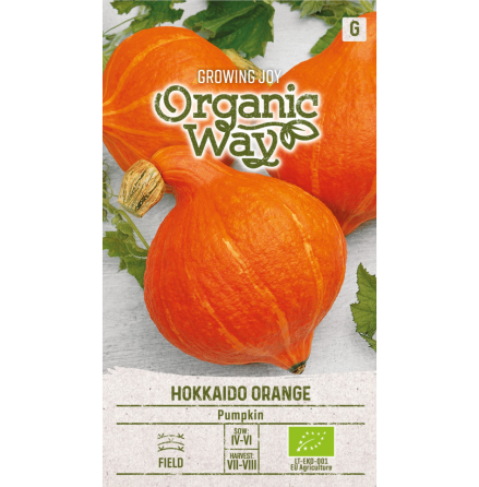 Frö - Pumpa Hokkaido Orange