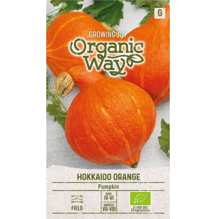 Fr - Pumpa Hokkaido Orange