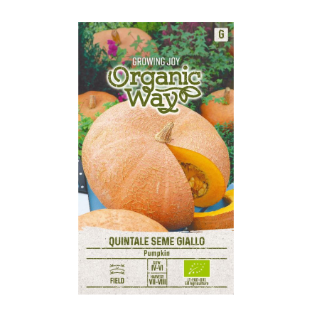 Fr - Pumpa Quintale Seme Giallo