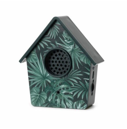 The Sound of Nature - Birdsong box