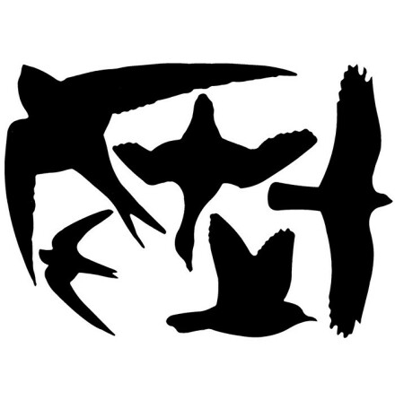 Fgelsilhuetter - Strre fglar