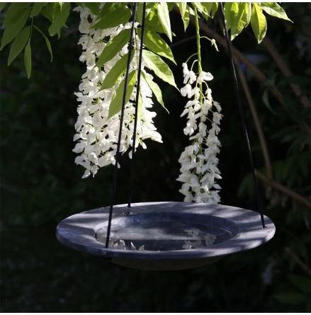Fgelbad grsparv hngande -  22 cm