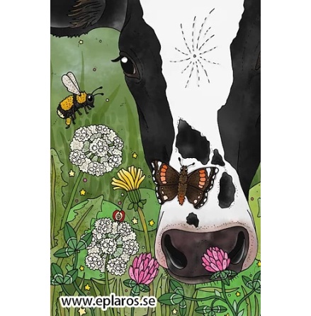 Vykort 10x15 cm - Holstein p bete