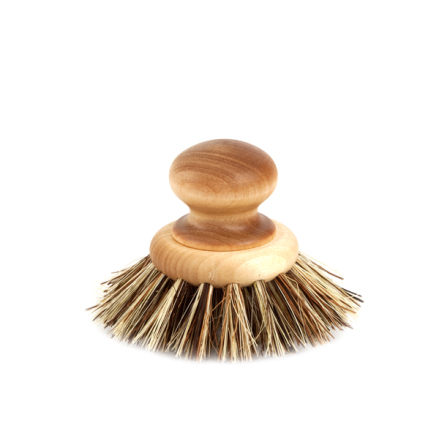 Rotfruktsborste - Rund med knopp