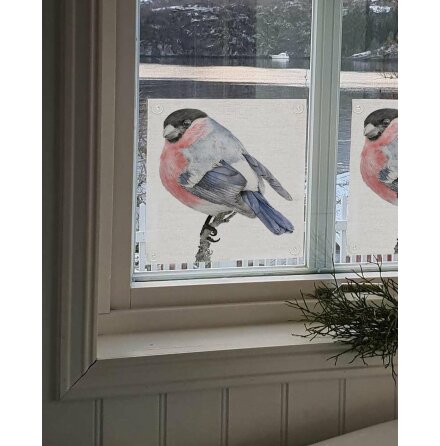 F�nsterskydd - Domherre