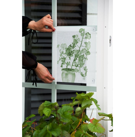 F�nsterskydd - Gr�n Pelargon