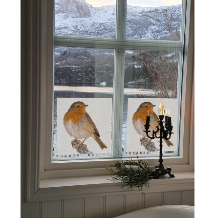 F�nsterskydd - R�dhake