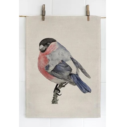 K�kshandduk - Domherre