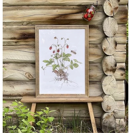 Art print - Smultron 50x70 cm 