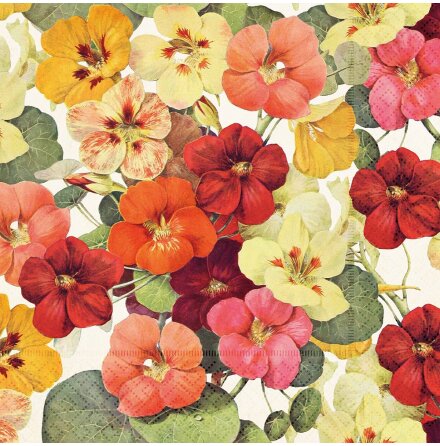 Servett - Blommor