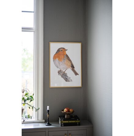 Art print - R�dhake 50x70 cm 