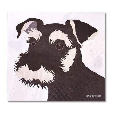Servett - Dvrgschnauzer