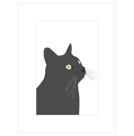 Poster - Svarta katten