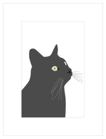 Poster - Svarta katten